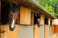 free Bideford stable construction quotes